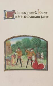 Le livre de Girart de Nevers et de la belle Euriant s'amye book cover