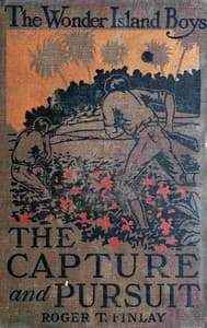 The Wonder Island boys book cover