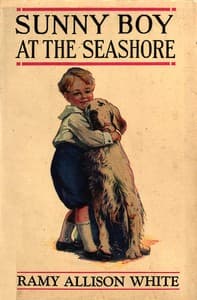 Sunny Boy at the seashore book cover