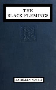 The black Flemings book cover