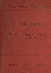 The octopus