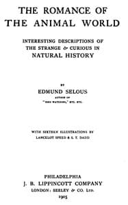 The romance of the animal world