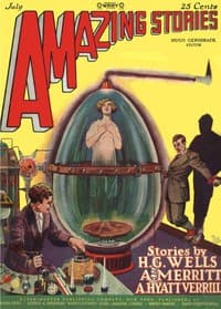 A voice from the inner world book cover