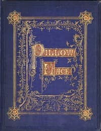 Madame Goubaud's pillow lace patterns, and instructions in Honiton lace making