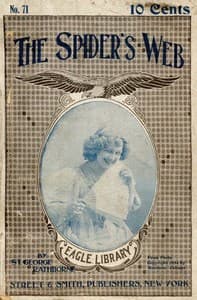The spider's web
