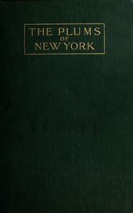 The plums of New York book cover