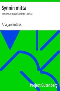 Synnin mitta book cover