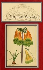 The botanist's repository for new and rare plants; vol. 03 & 04 [of 10] book cover