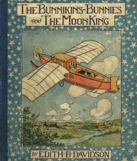 The Bunnikins-Bunnies and the Moon King book cover