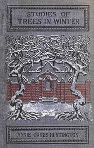 Studies of trees in winter