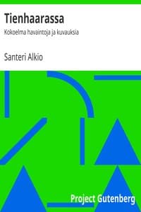 Tienhaarassa book cover