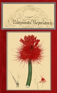 The botanist's repository for new and rare plants; vol. 05 [of 10] book cover