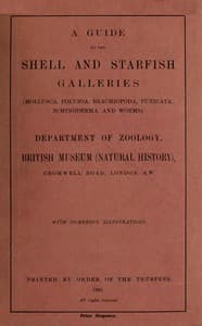 A guide to the shell and starfish galleries