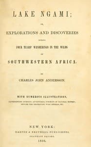 Lake Ngami book cover