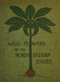 Wild flowers of the north-eastern states