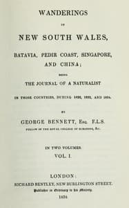 Wanderings in New South Wales, Batavia, Pedir Coast, Singapore, and China, Vol. 1 (of 2)