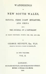 Wanderings in New South Wales, Batavia, Pedir Coast, Singapore, and China, Vol. 2 (of 2) book cover