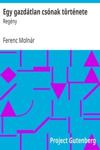Egy gazdátlan csónak története book cover