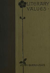 Literary values, and other papers book cover