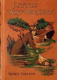 Little "Why-because"