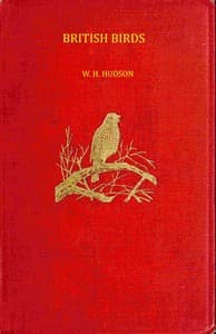British birds