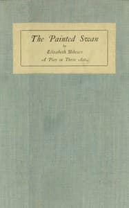 The painted swan book cover