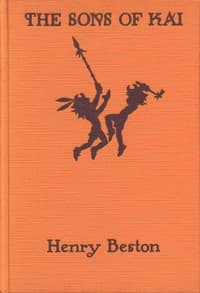 The sons of Kai book cover