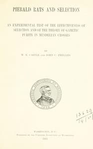 Piebald rats and selection book cover