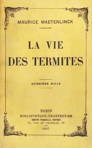 La vie des termites book cover