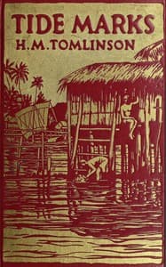Tide marks book cover