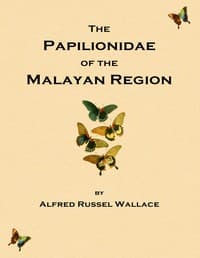 On the phenomena of variation and geographical distribution as illustrated by the Papilionidæ of the Malayan region