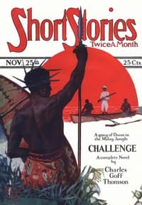 The silent cabin book cover