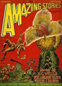 The radio ghost book cover