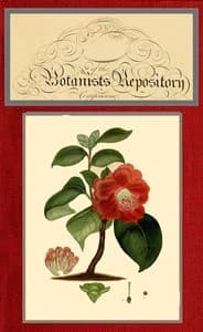 The botanist's repository for new and rare plants; vol. 09 [of 10] book cover