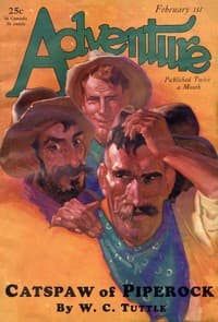 The catspaw of Piperock book cover