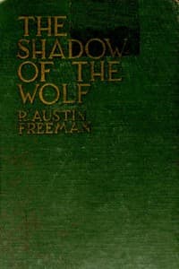 The shadow of the Wolf