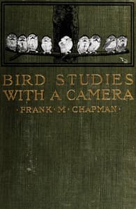 Bird studies with a camera