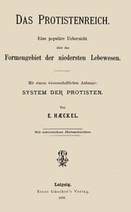Das Protistenreich