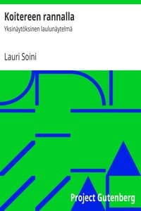 Koitereen rannalla book cover