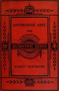 Anthropoid apes
