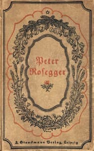 Sonderlinge book cover