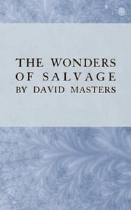 The wonders of salvage book cover