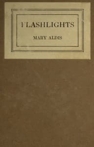 Flashlights book cover
