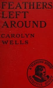 Feathers left around book cover