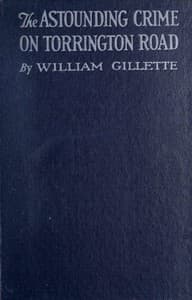 The astounding crime on Torrington Road book cover