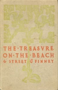 The treasure on the beach