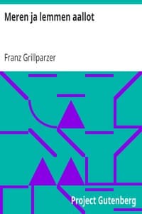 Meren ja lemmen aallot book cover