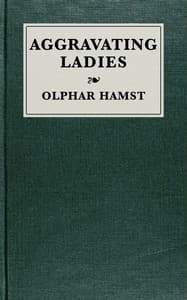 Aggravating ladies book cover