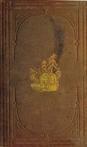Incidents on land and water book cover