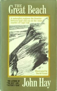 The great beach book cover